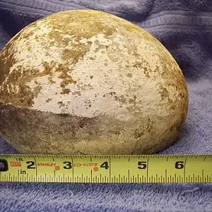 My Rock - Lots of guesses on this one. Most likely a concretion.