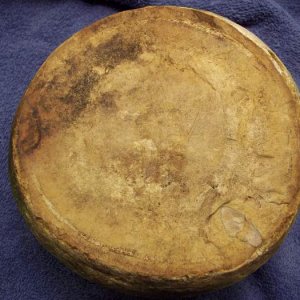 My Rock 2   - This is my concretion(?) showing the flat side.