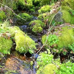 Gold Claim - Gotta love being outdoors when it looks this good!