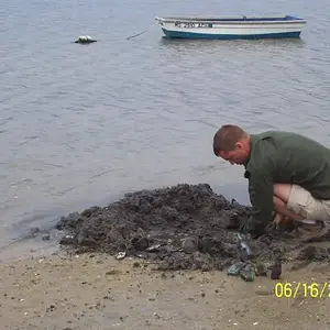 bottle digging