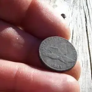 1857 Flying eagle 2010
