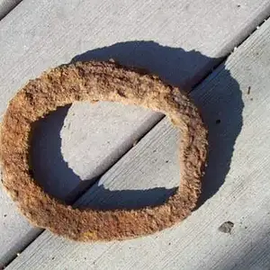 oxen shoe