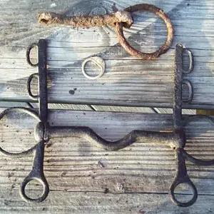 bridle - restored by me
