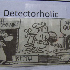 Detectorholic