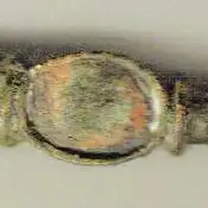 Roman broach