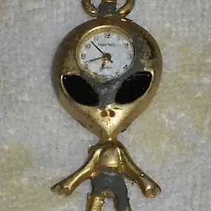 Alien Watch - Found in park Pickering ON.