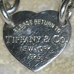 'Tiffany' Bracelet Close-up - Found in park Pickering ON.