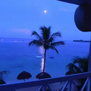 Setting Moon in Jamacia