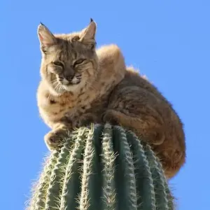[No title]