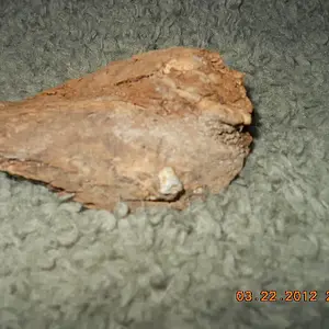 DSCN1342