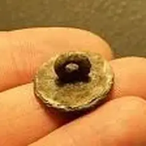 REV WAR BUTTON 2