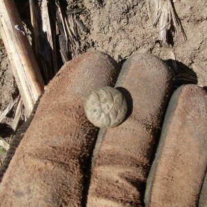 Eagle Artillery Cuff Button, found on top of a cane row where it had washed out of the dirt.