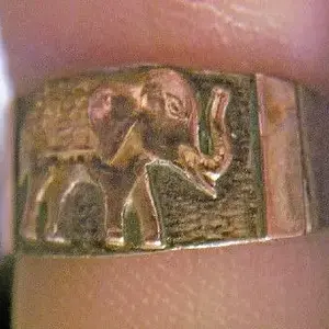 elephant ring