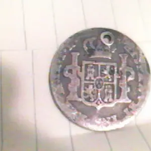 spanish silver back