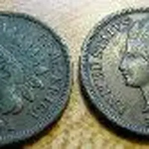 Indians, here in my area they don't come up looking too well. These are not bad at all.