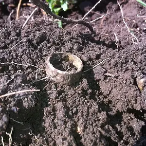 Gold ring dirt