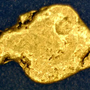 Paranha Gold
