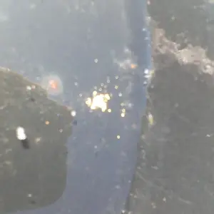 0410120958
