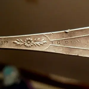 Silver Spoon