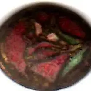 small enamel button??
