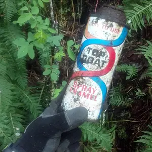 Metal Detecting an old farming area in Snoqualmie WA.