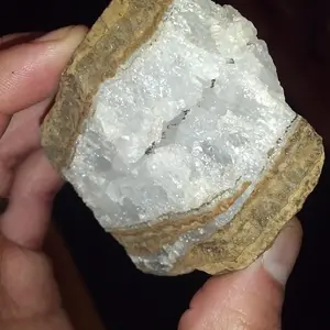 I call this guy "Chompy" or "Chatter Box". Found laying on the ground while Metal Detecting around Tiger Mountain area of WA.