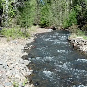 First Creek in Liberty, WA. Looking easterly.