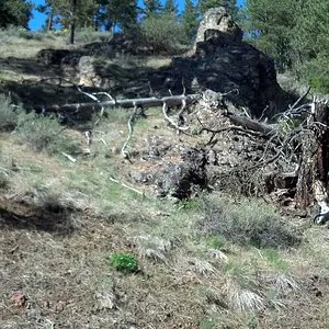 Right side up top. An intruded rock. Always worth check it out for mineralization.