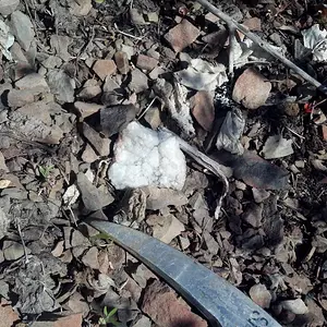 Look for anything that looks different. This is a corner piece of a quartz lined geode that got busted up from falling down the cliff edge.