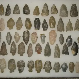 IMG 0160