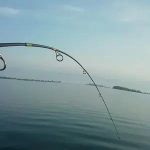 Taking my daughter fishing first time this season and she gets a  "pole bender" on mothers day 2012. Was a nice 29.5" Northen Pike, her largest fish e