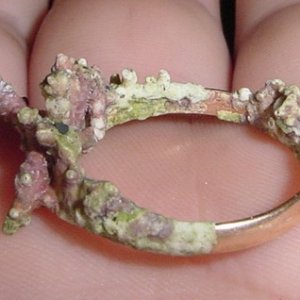 CORAL ENCRUSTED GOLD BAND FOUND IN RIVIERA MAYA MEXICO