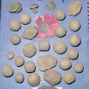 COLONIAL FORT SITE FINDS