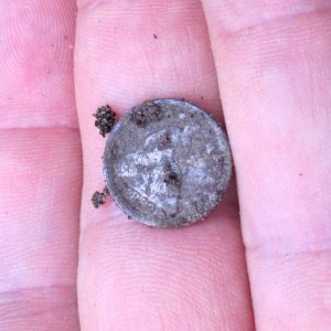 1/2 DIME FOUND ON A SC PLANTATION
SITE OF CW SKIRMISHES