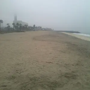 Carlsbad Power Plant
Looking South

Early morning hunt