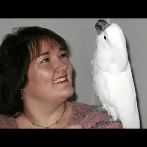 [No title]
