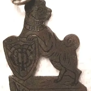 1894 Chicago Dog Tag that sold for over $500