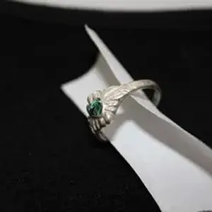 1:29:12ring1