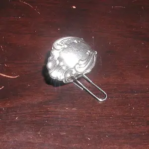 P6010004