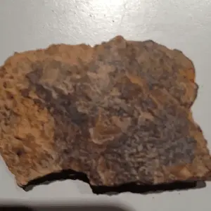 [No title]