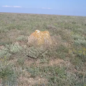 546547777