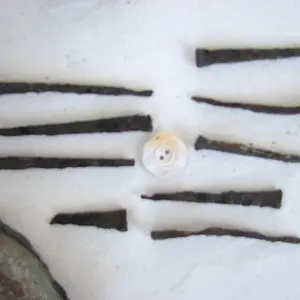 button and nails