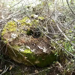 Mine 003
