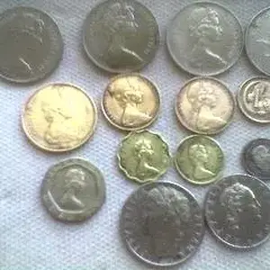 these  were all   found  together !   dont know  why  they were   all near  eachother...   fort  pierce,    florida