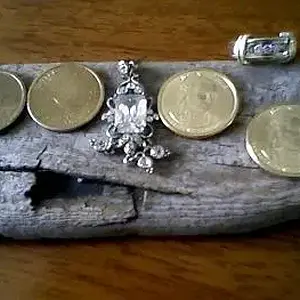 08       dollar   coins  ,  big zirc.  ear  and  diamond  ring