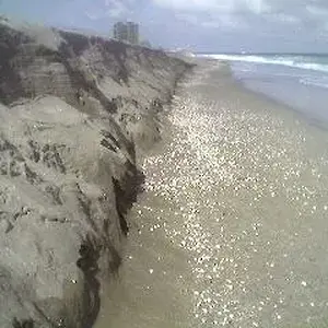 juicy    cut    at   fort pierce,  fla.