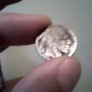 buffalo nickel