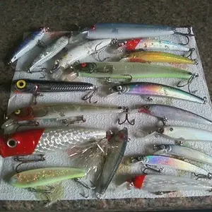 lures      galore.    florida