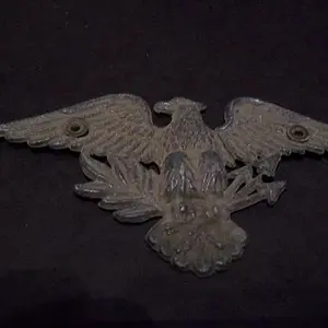 dawg eagle
