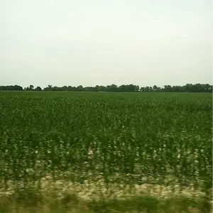 Building a neighborhood over some of my hunting grounds :'(